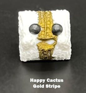 Happy Cactus Gold Stripe